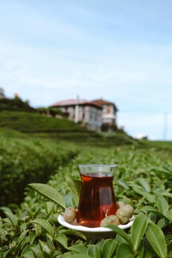 organic tea from morocco
